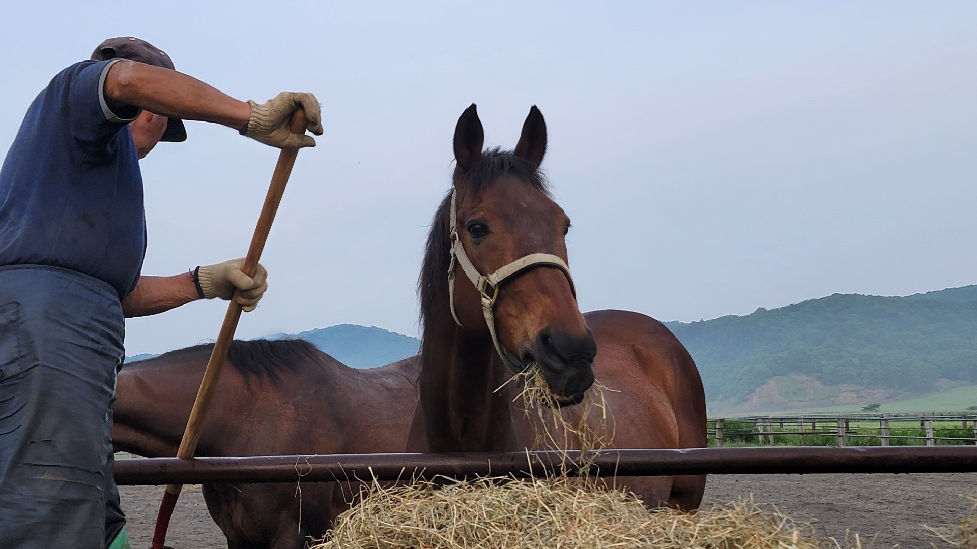 487d78335f813c940dd9257b195449aa-1760935535.jpg 487d78335f813c940dd9257b195449aa-1760935535.jpg